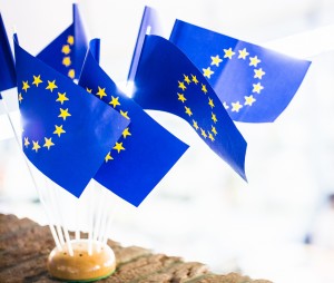 Europa-Kolleg_JAN2014-2136